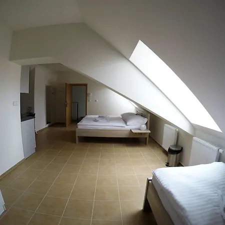 Guest house Penzion U Tri Statkaru Dobris