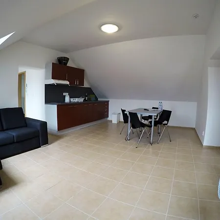 Penzion U Tri Statkaru Guest house Dobris