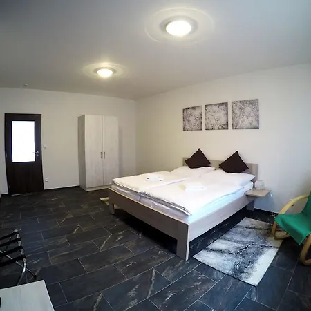 Guest house Penzion U Tri Statkaru 4*